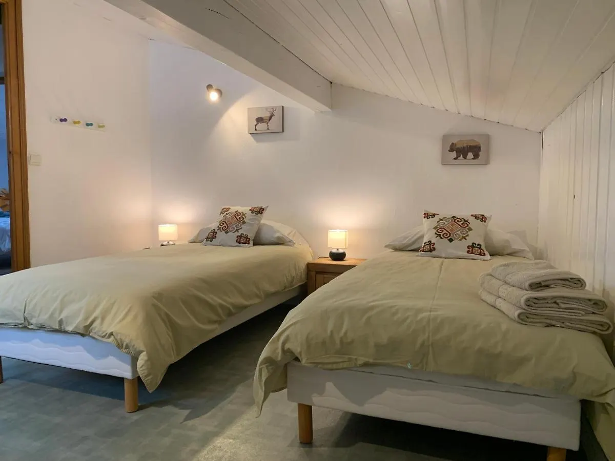 Chalet Arve Passy Villa