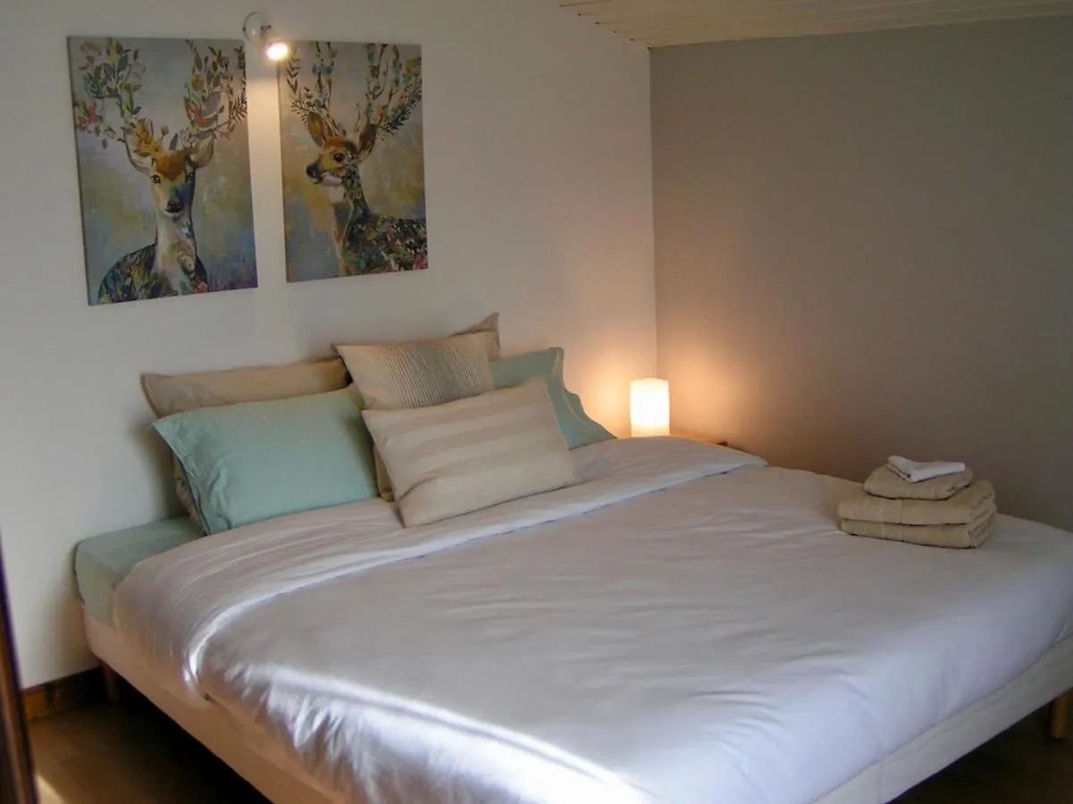 Chalet Arve Passy Villa