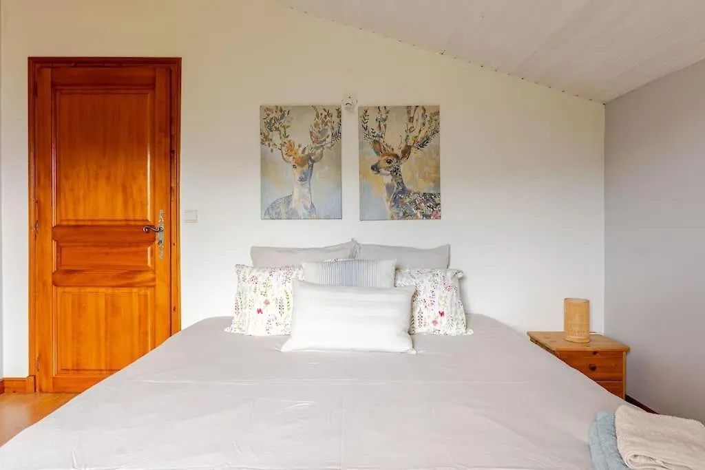Chalet Arve Passy Villa